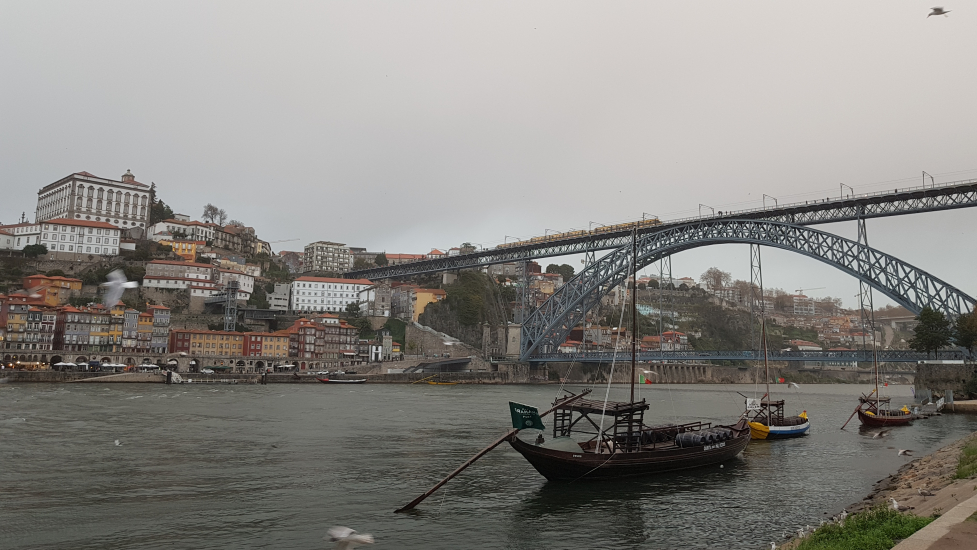 20191114_170608.jpg