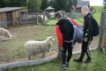 DSC01988.JPG
