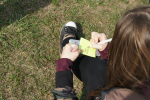 DSC02093.JPG