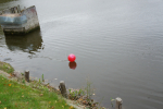 DSC02175.JPG