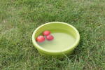 DSC02185.JPG