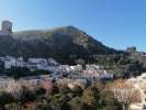 IMG_20200221_105610.jpg