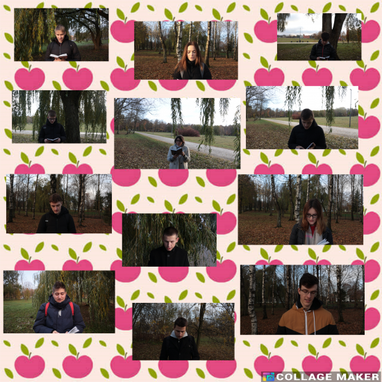 Photo_Collage_Maker_2021_10_31_10_52_44_28129.png