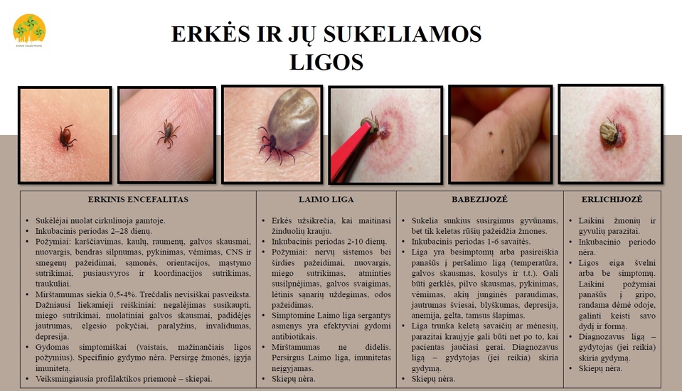 erkes_ir_ju_sukeliamos_ligos.jpg
