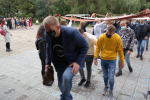 SAM_0941.JPG