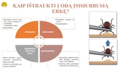 kaip_istraukti_erke.jpg