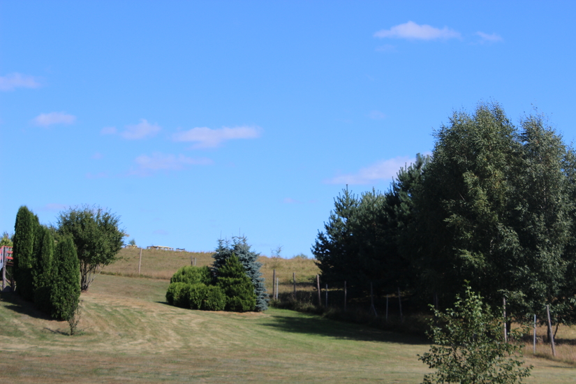 IMG_6458.JPG