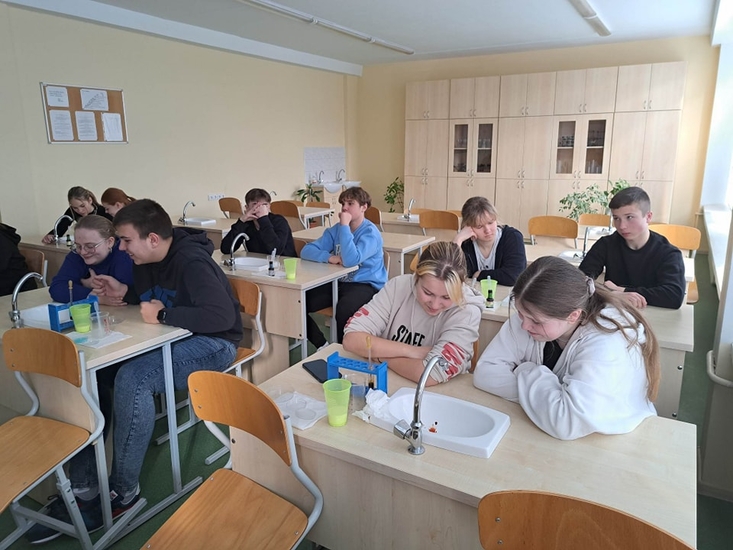 f6.jpg