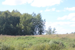IMG_6459.JPG