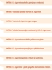 Failo pavadinimas=mitai_apie_el_cigaretes.jpg
Failo dydis=64KiB
Matmenys=480x645
Pridėjimo data=2023-05-09 mitai_apie_el_cigaretes.jpg
