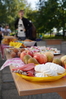 DSC04236.JPG