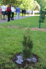 KH1A4344.JPG