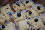 DSC03571~0.JPG