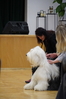 DSC07652~0.JPG