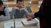 DSC08673.JPG