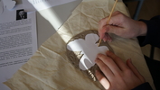 DSC08855.JPG