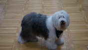 DSC09707.JPG