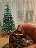 Liet_k_sav__28329.jpg