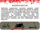 Saugus_kelyje.jpg