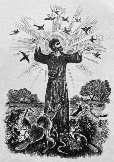 829557952_1317153637056586_2156141235228762093_n.jpeg