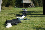 DSC05012.JPG