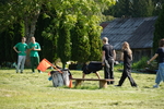 DSC05022.JPG